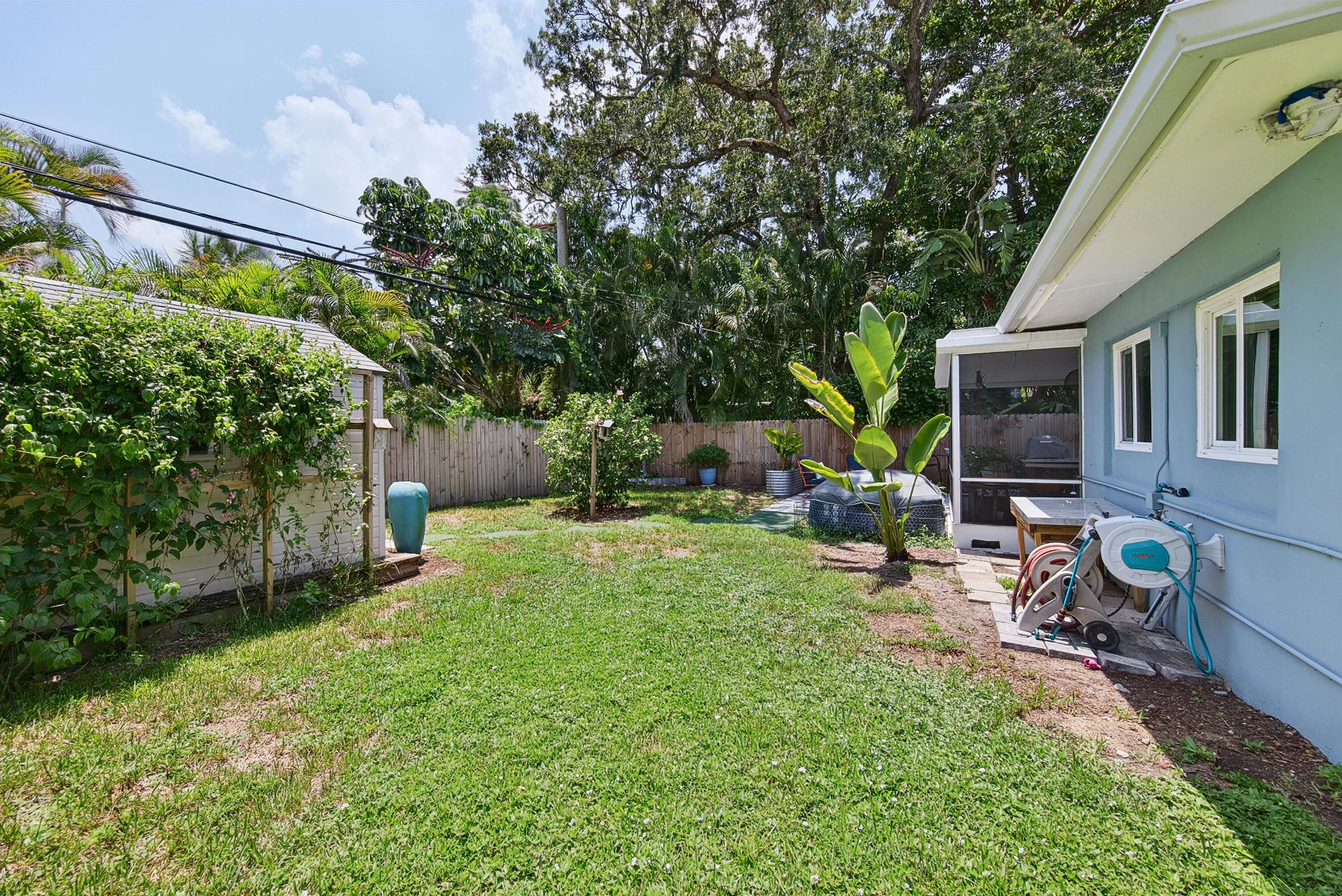 Backyard