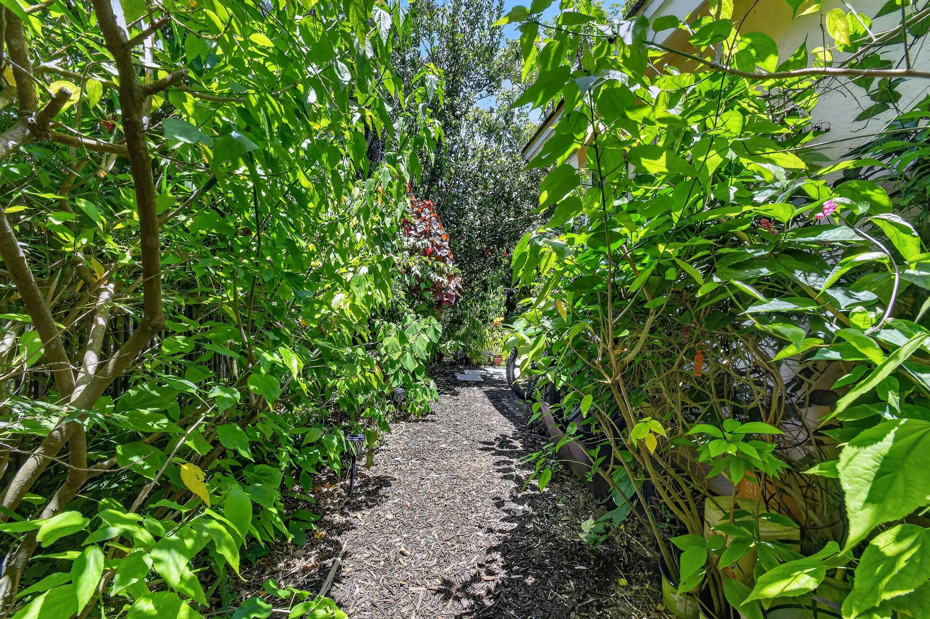 Wildlife Habitat