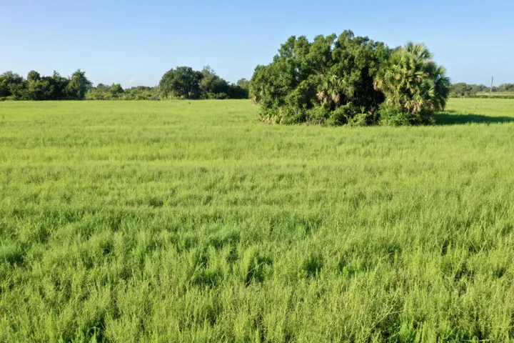 DJI_0124