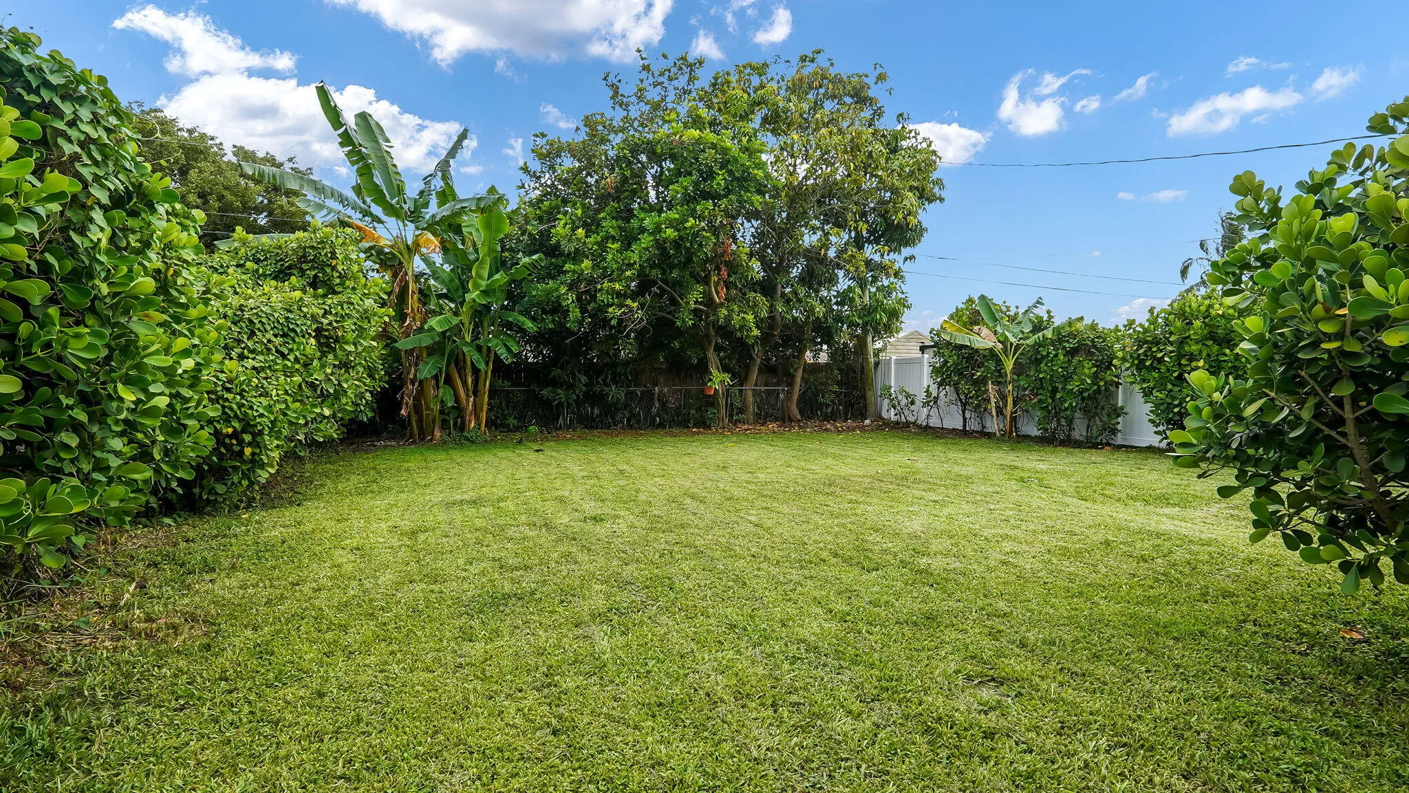 37-web-or-mls-DSC07016