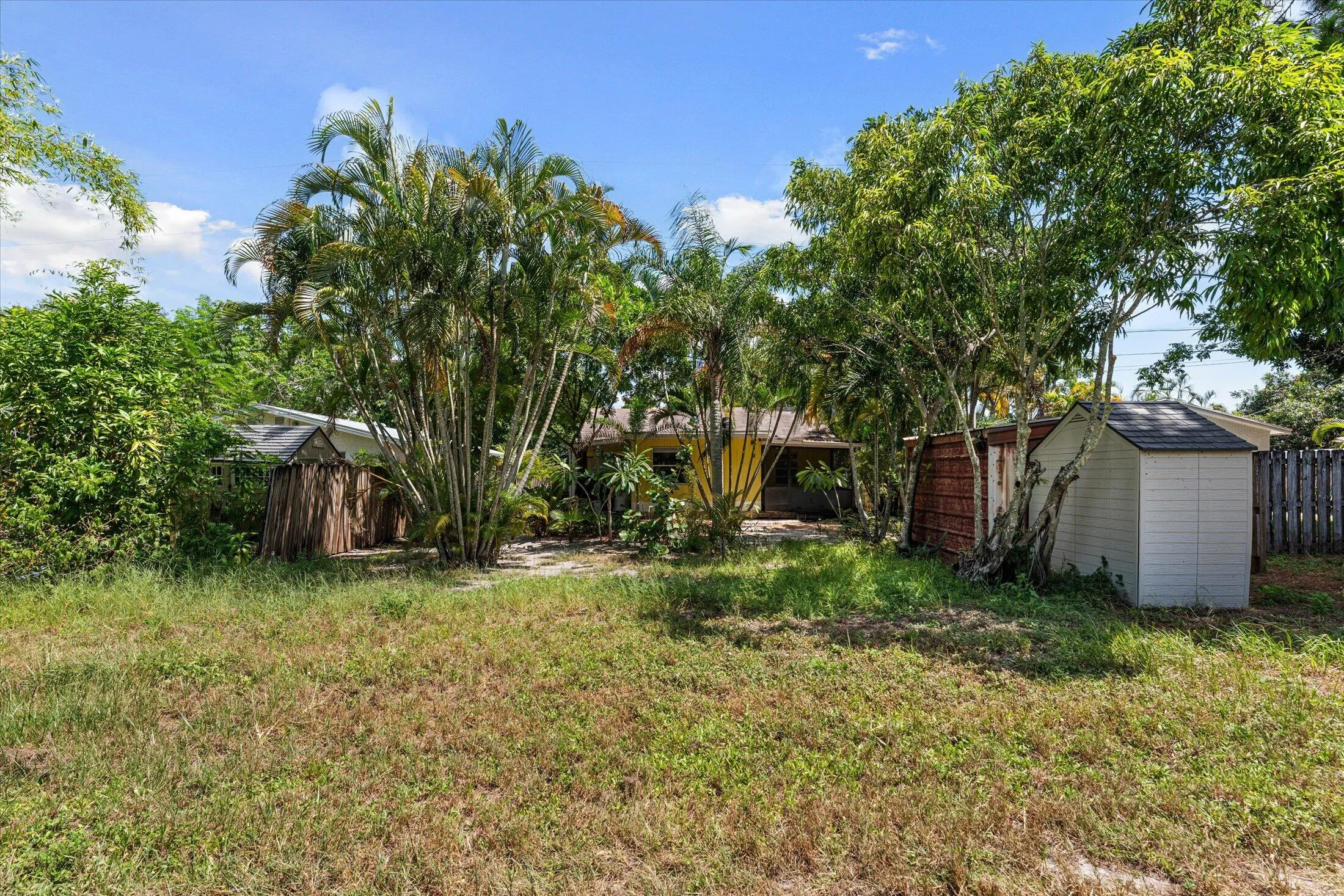 Spacious rear yard featuring extensive foliage, mature palm trees, and two storage sheds