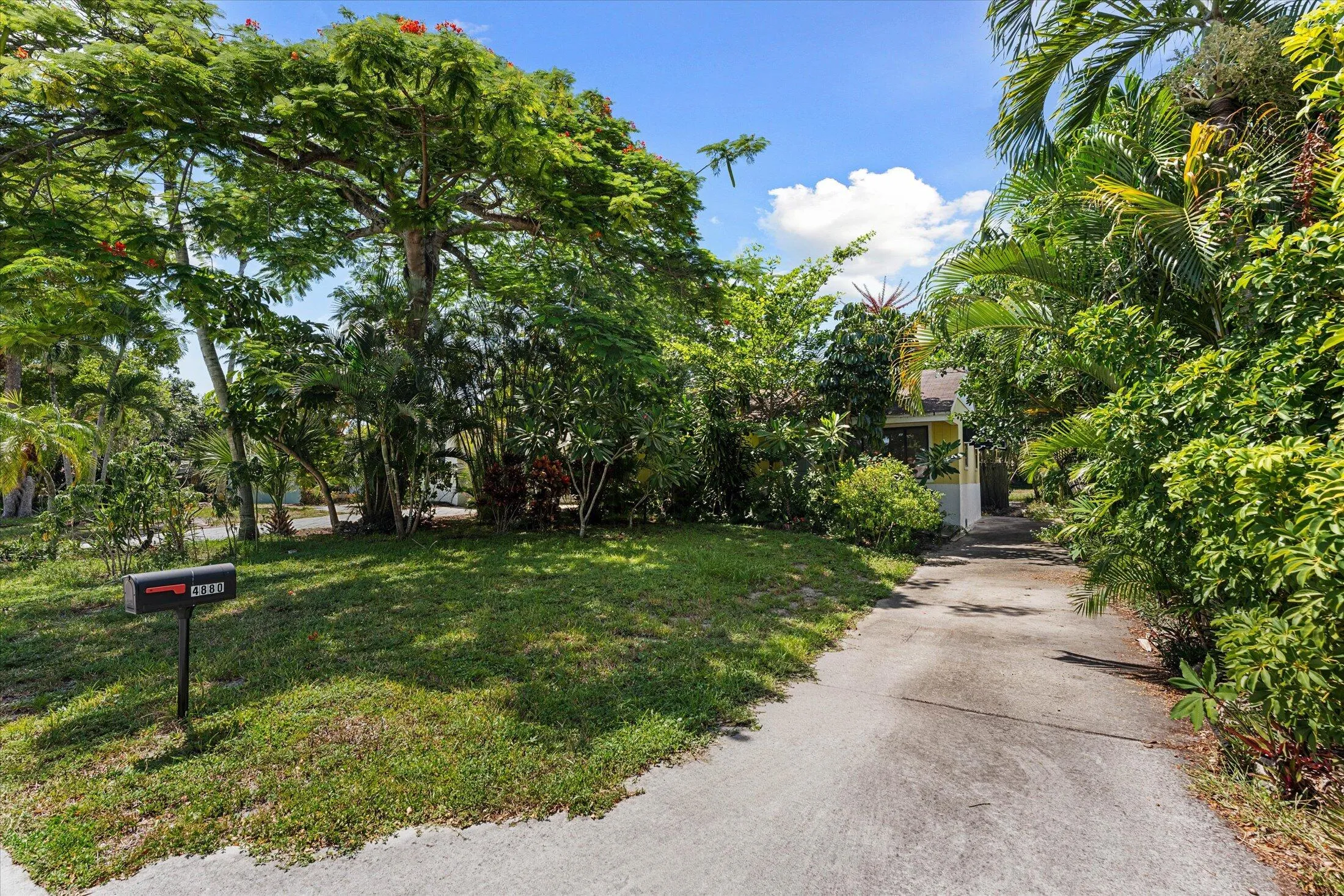 Mature trees and lush landscaping frame a paved driveway leading to the residence