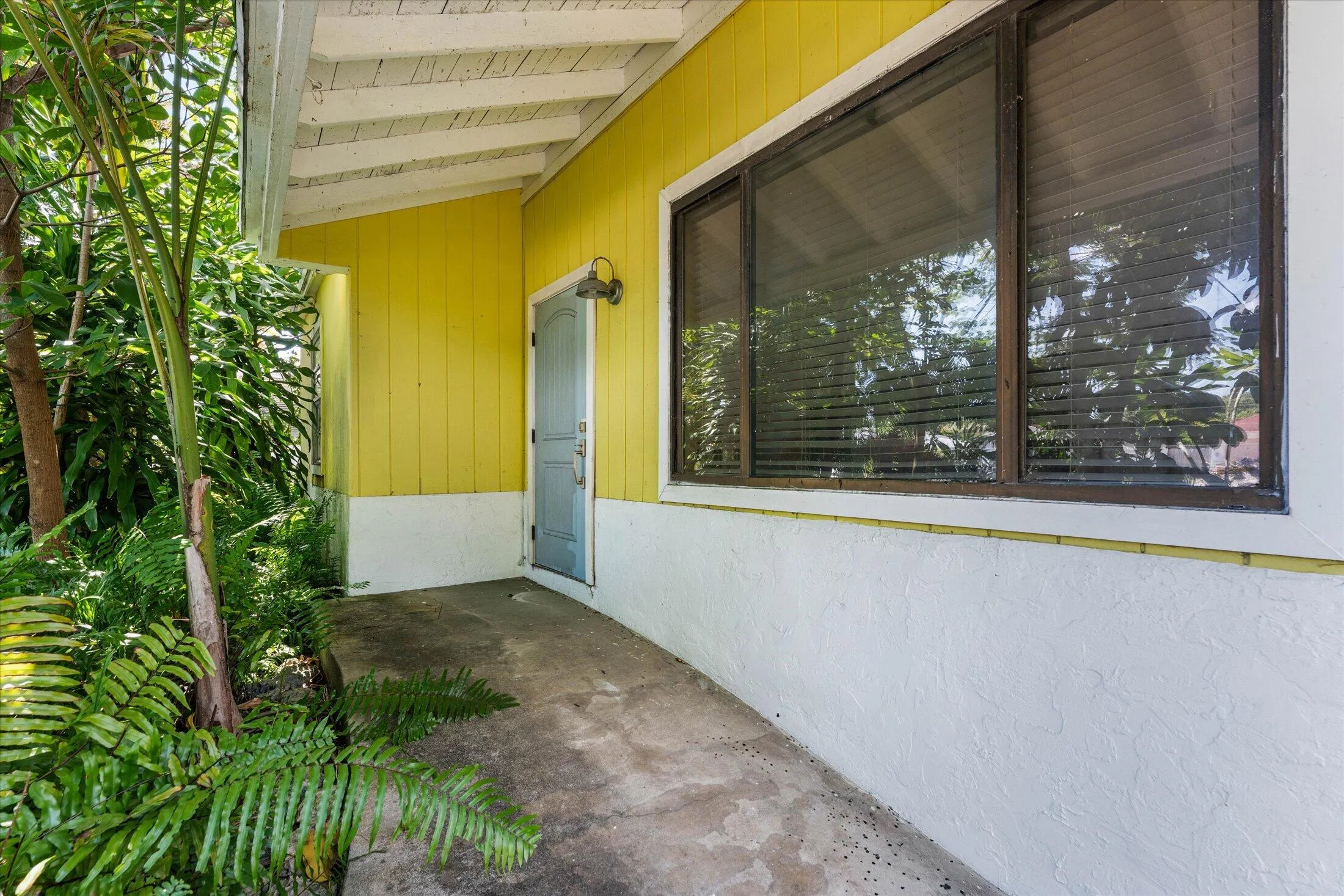 Exterior featuring a bright yellow siding, white stucco foundation, brown-framed windows with horizontal blinds, and lush tropical landscaping