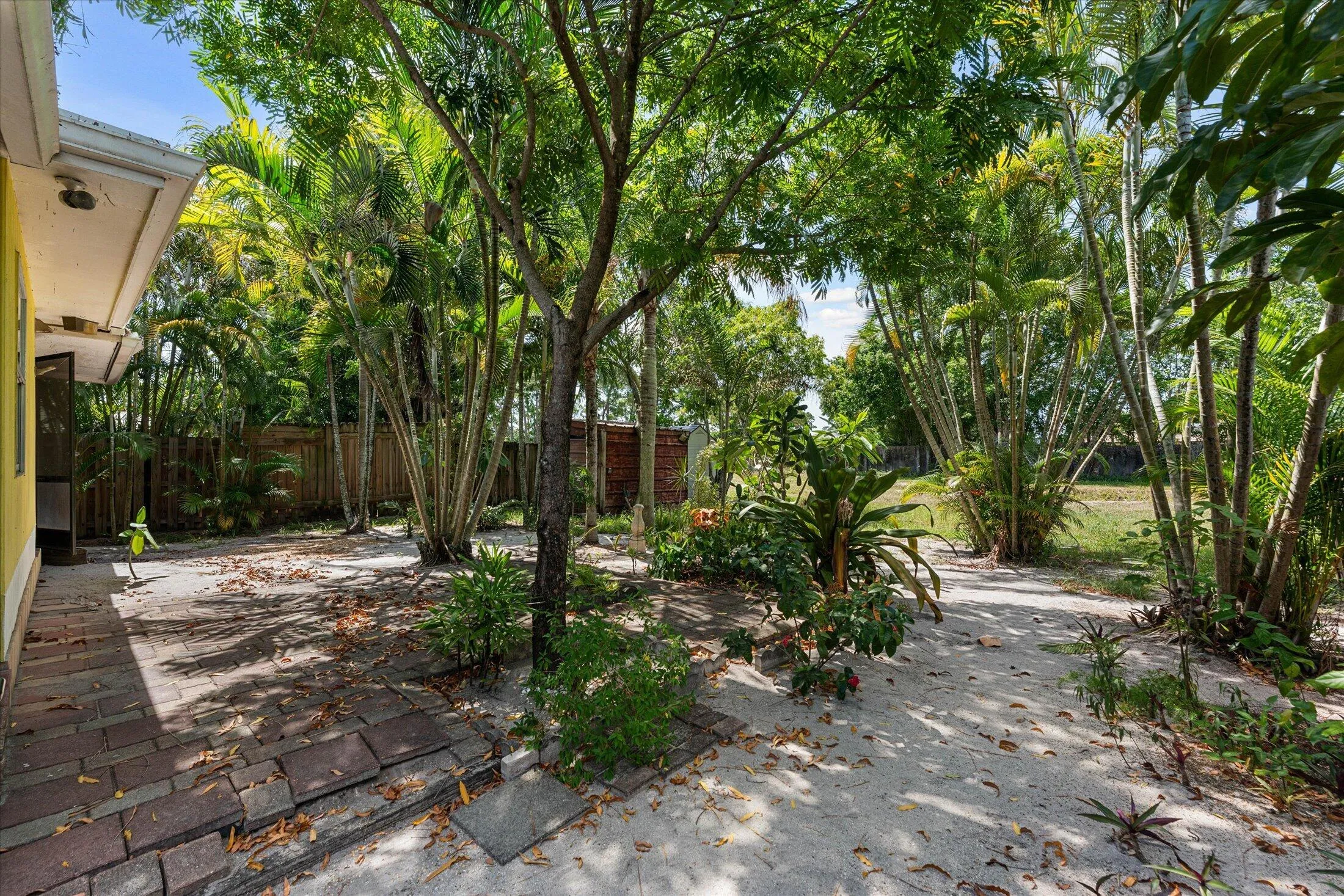 Lush backyard sanctuary featuring a variety of mature tropical foliage, privacy fencing, a natural sand ground cover, and a brick paver patio area