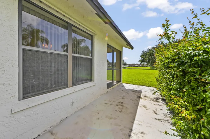23 Backyard 01