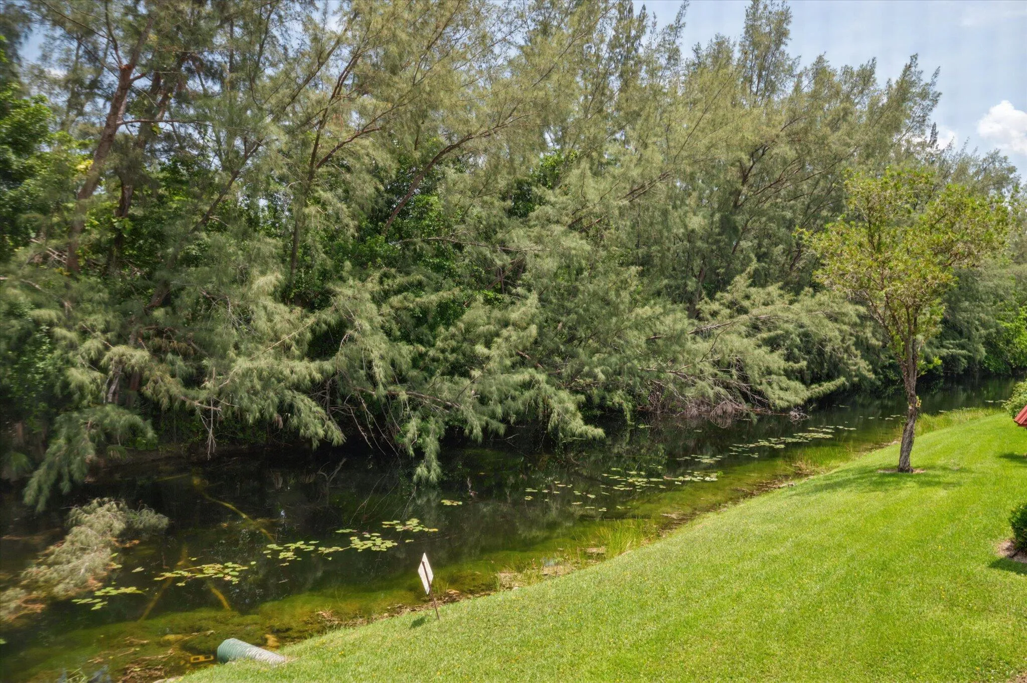 14-Borzillieri-473 Lake Francis Dr-14