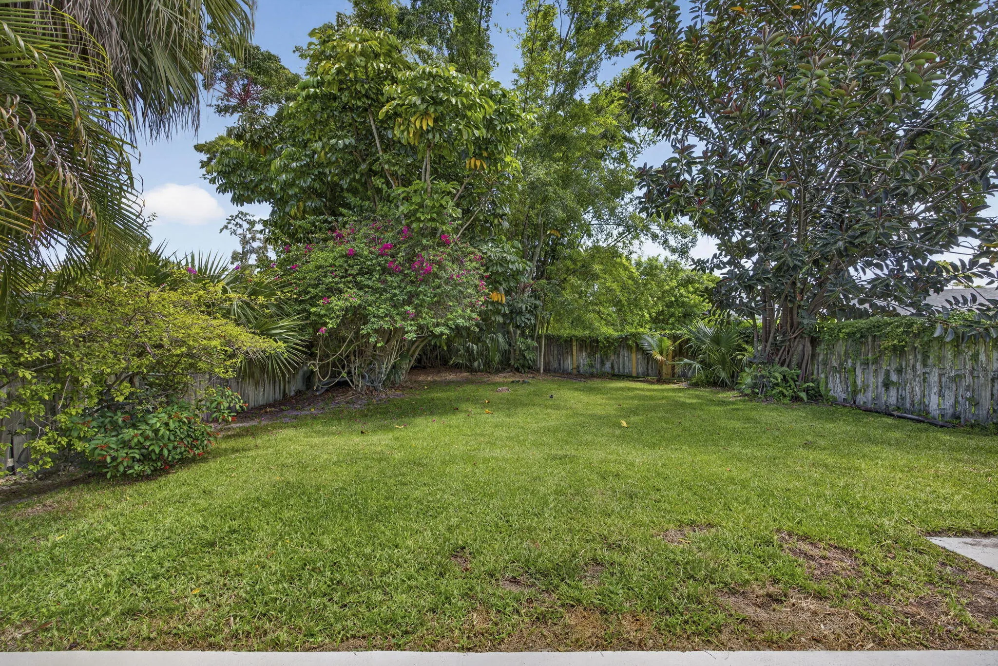 Large back yard
