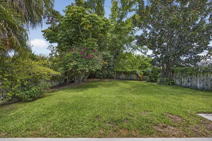 Large back yard