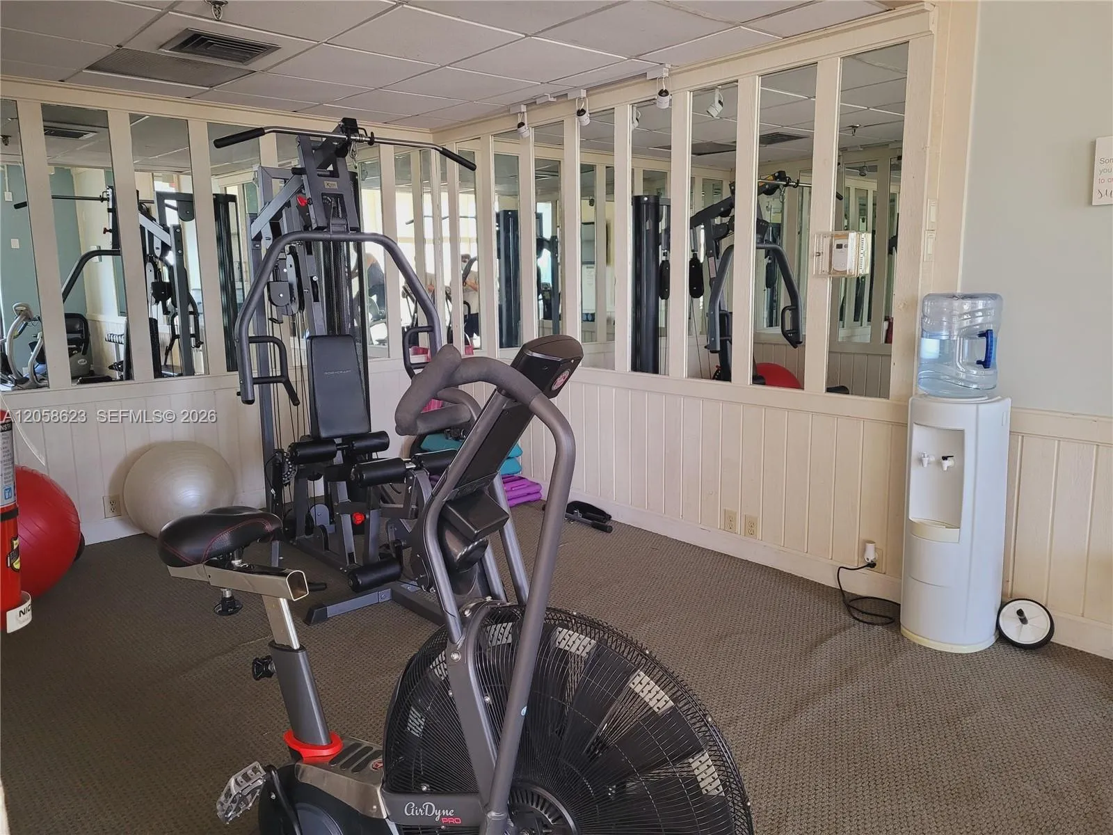 Gym