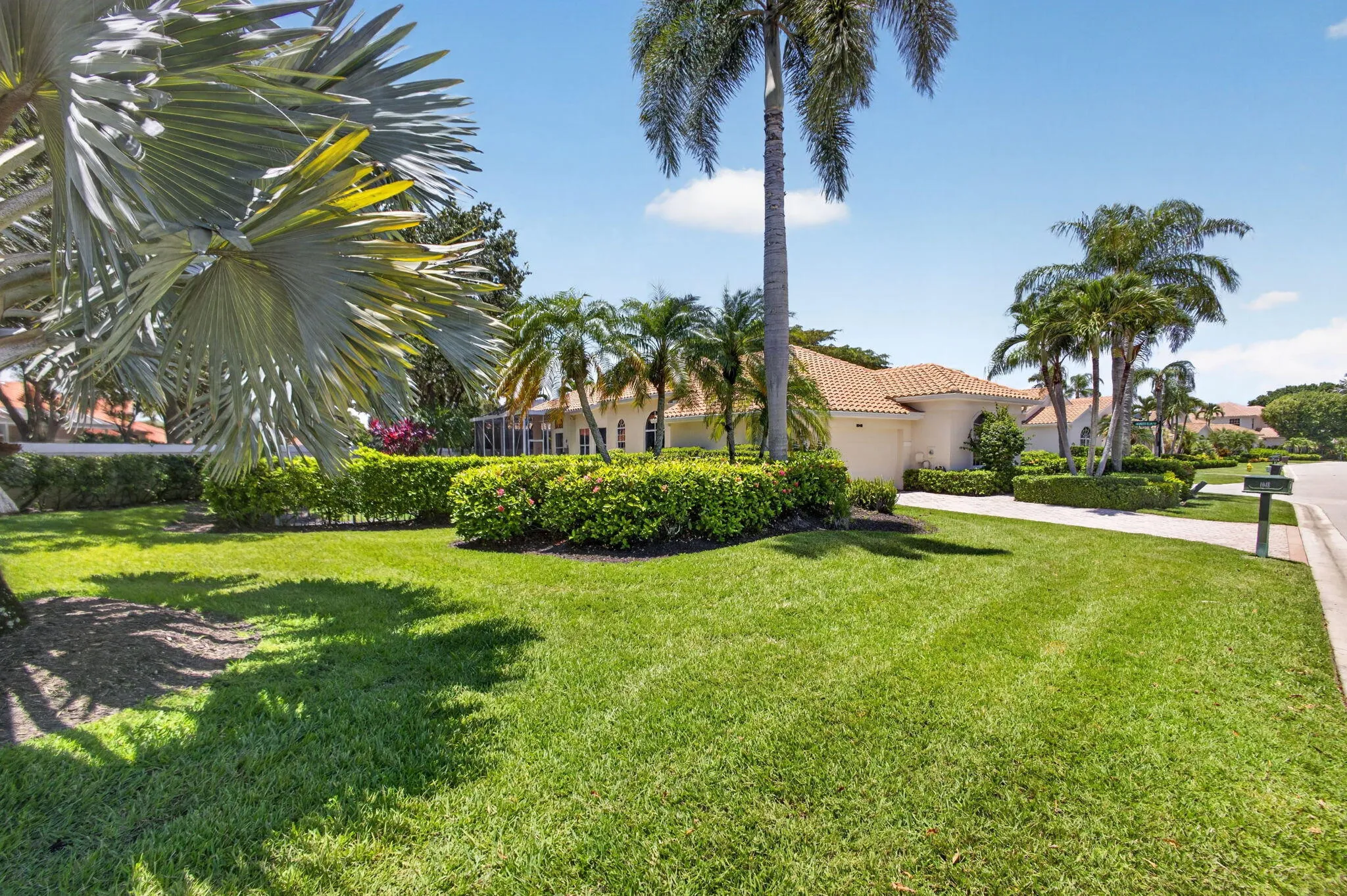 SPACIOUS LAWN