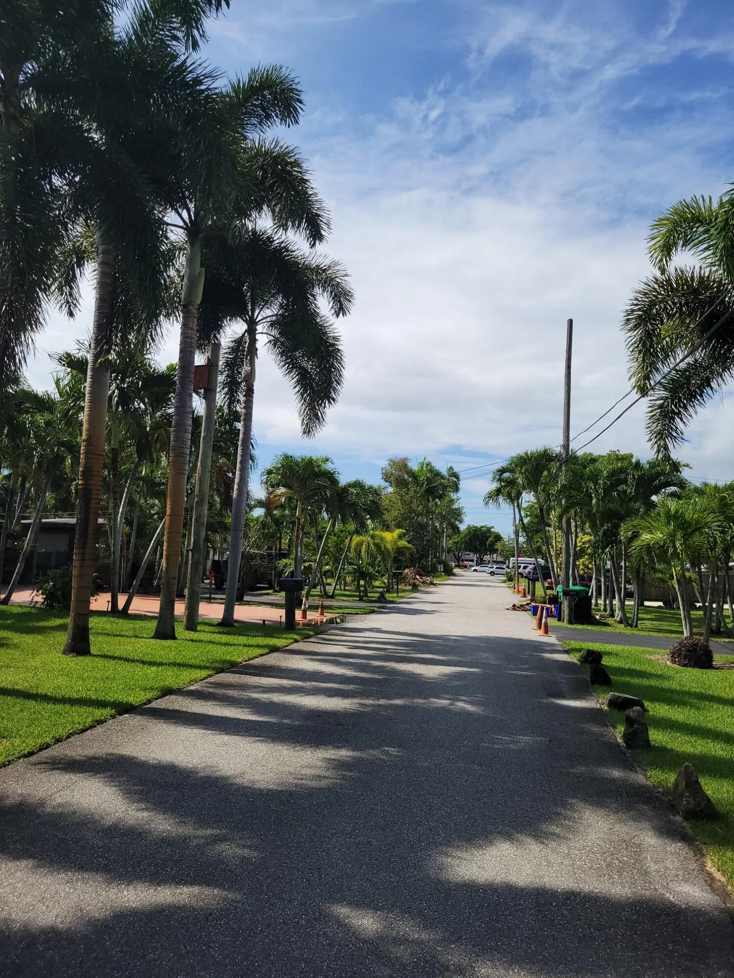 STREET TOWARDS FORESTHILL