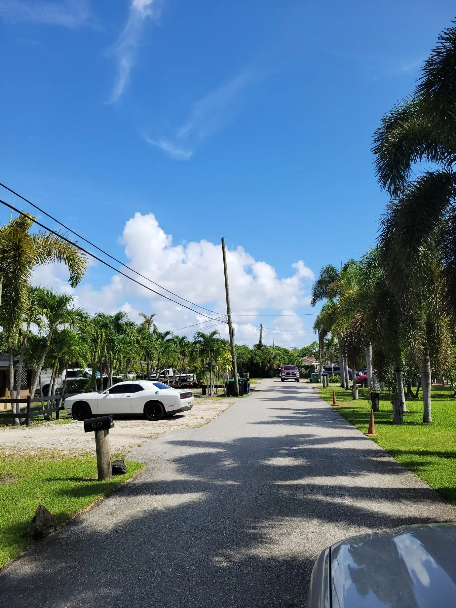 DEAD END STREET