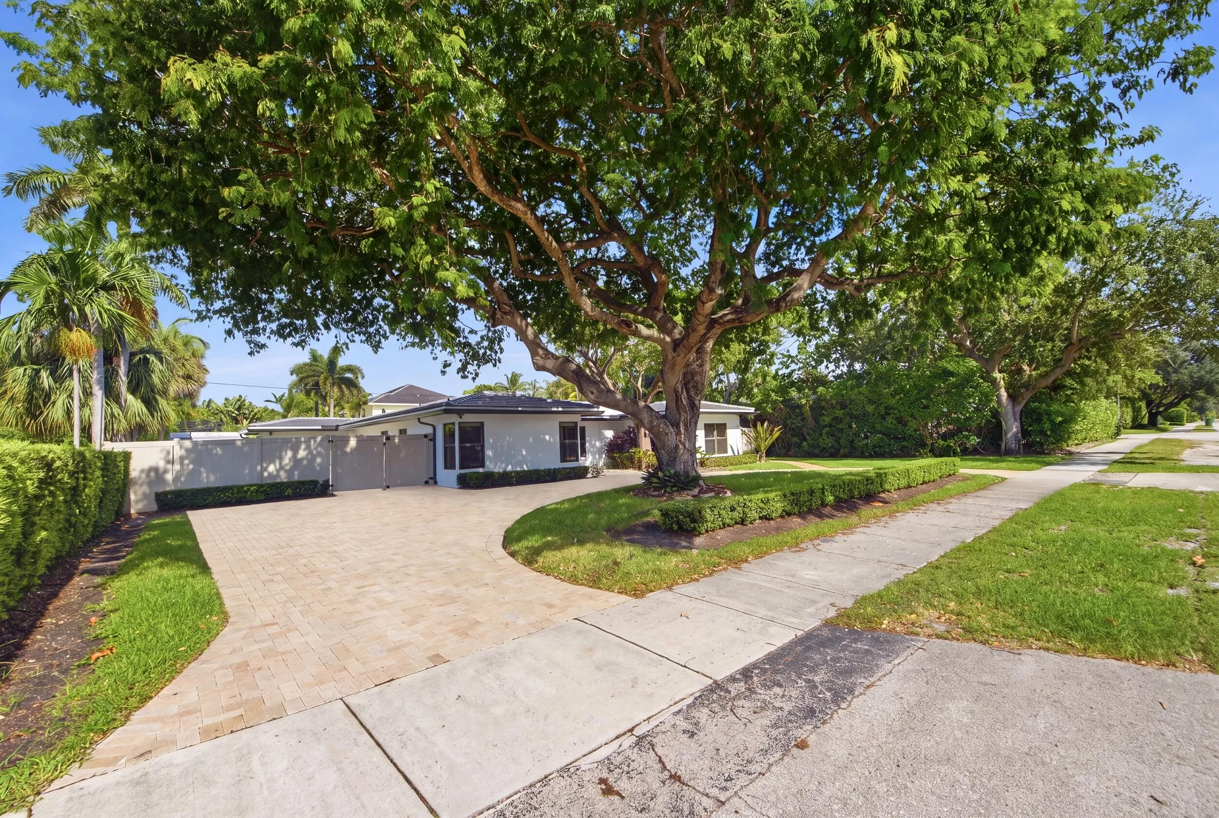 Contemporary architecture featuring a paver driveway, mature shade tree, manicured hedges, and a sidewalk
