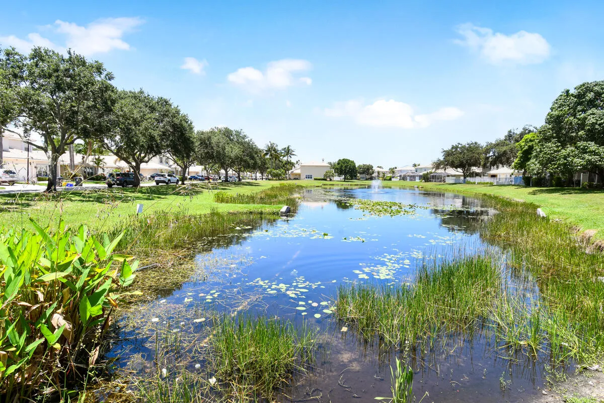 Expansive water feature with natural vegetation, bordered by manicured green spaces and mature trees