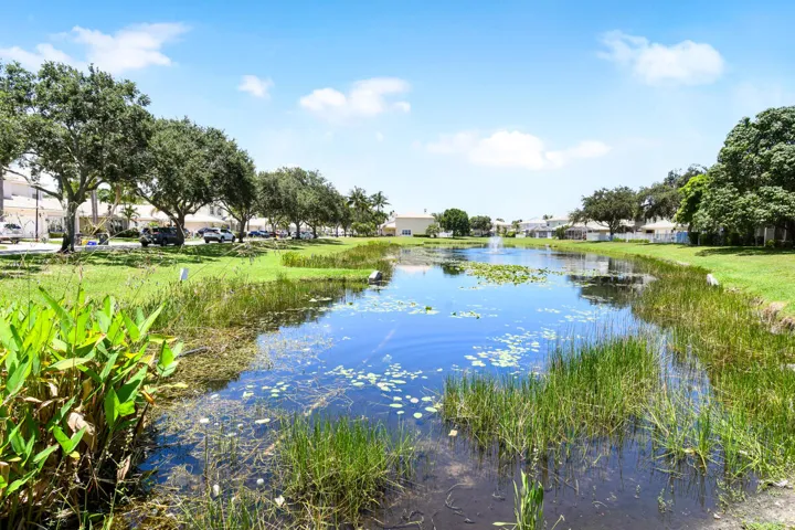 Expansive water feature with natural vegetation, bordered by manicured green spaces and mature trees