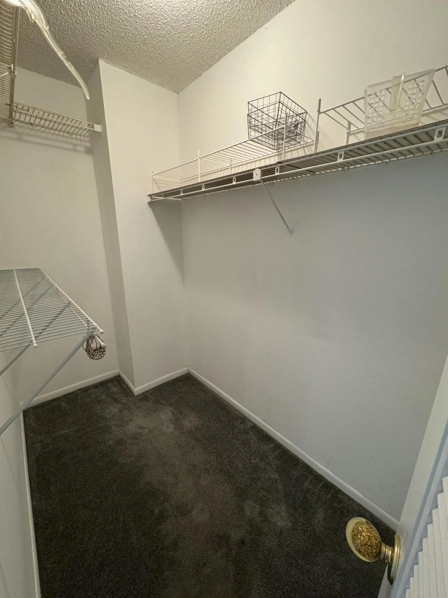 main closet