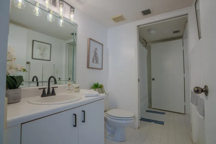 Master bath with new faucet and lighting