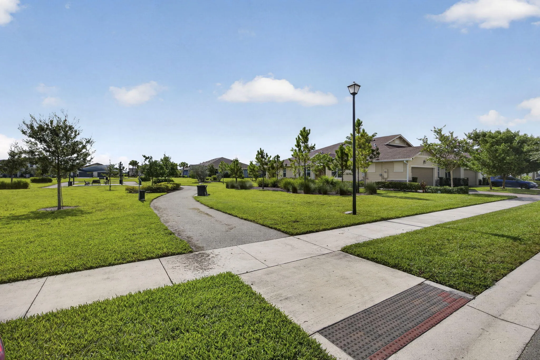 51-web-or-mls-BS1A4799