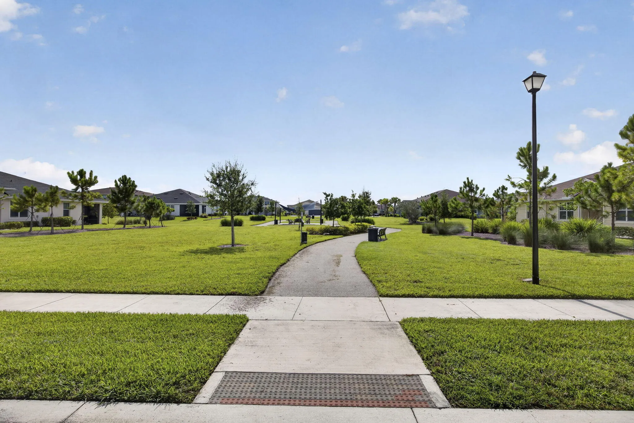 50-web-or-mls-BS1A4794