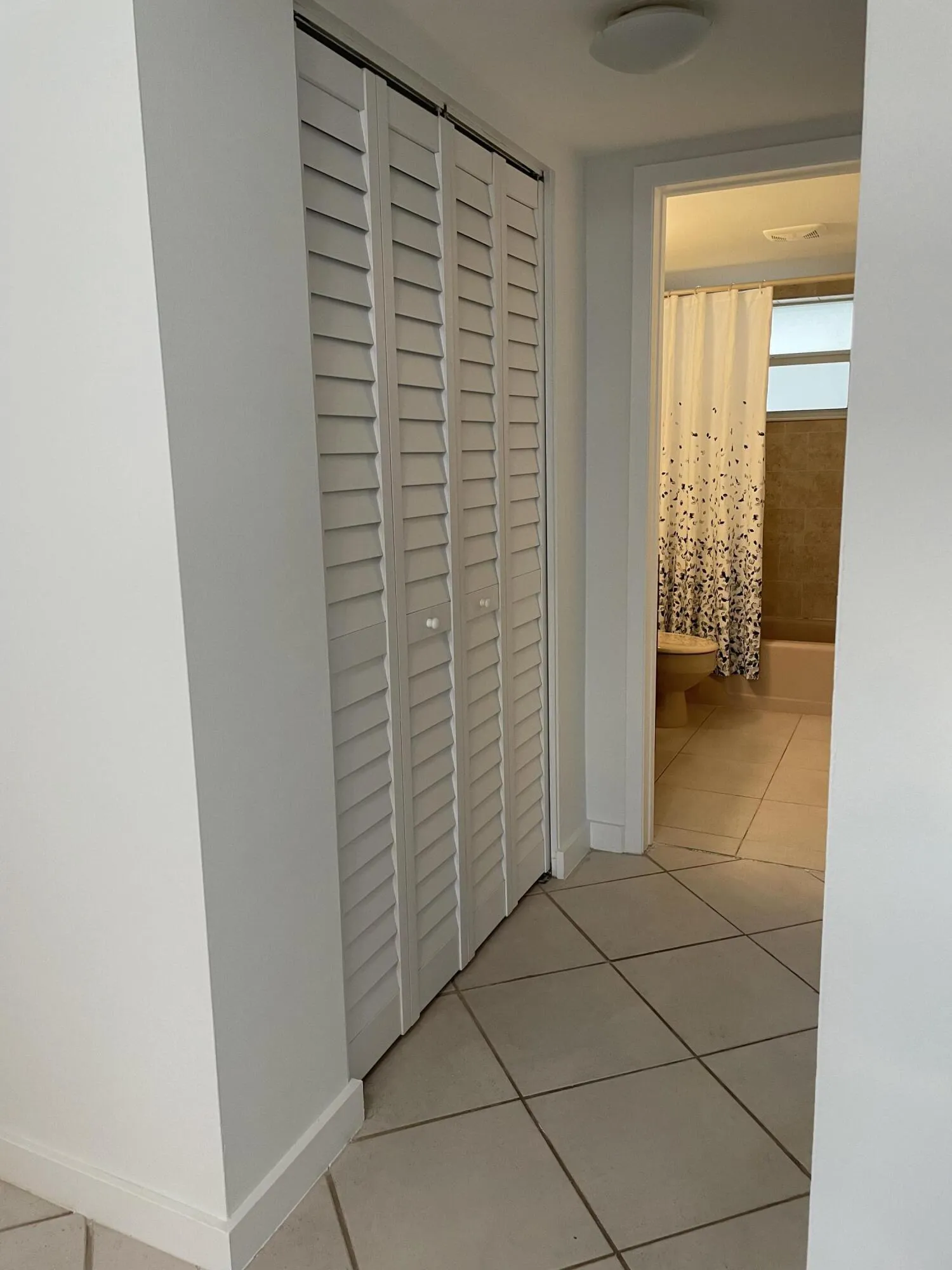 Hall off Living Room