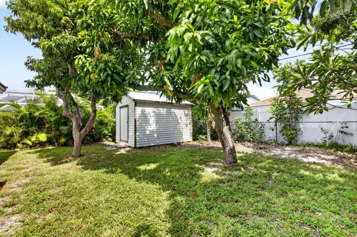 Backyard with Shed