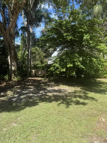 Expansive lawn area surrounded by mature trees and lush foliage, featuring a light-colored fence at the property line