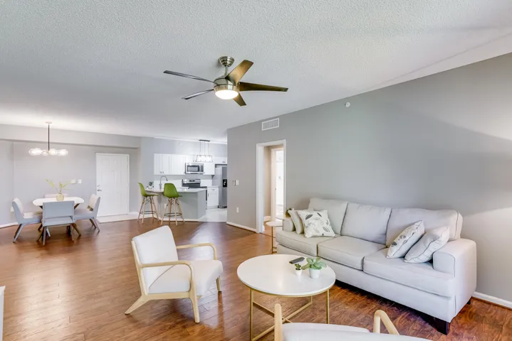 Open-concept living area featuring wood-finish flooring, a modern ceiling fan, and light gray walls