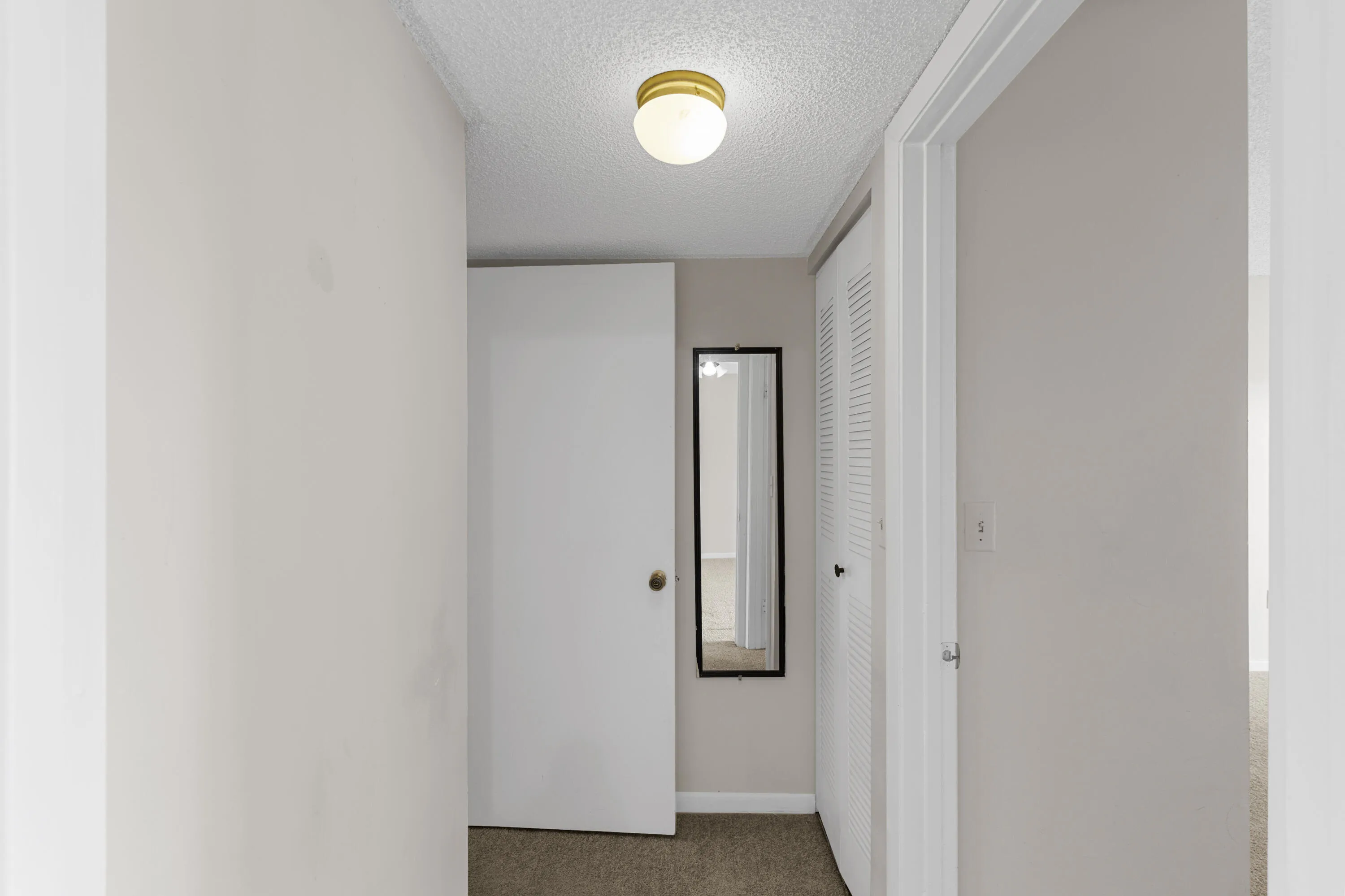 R6II5184