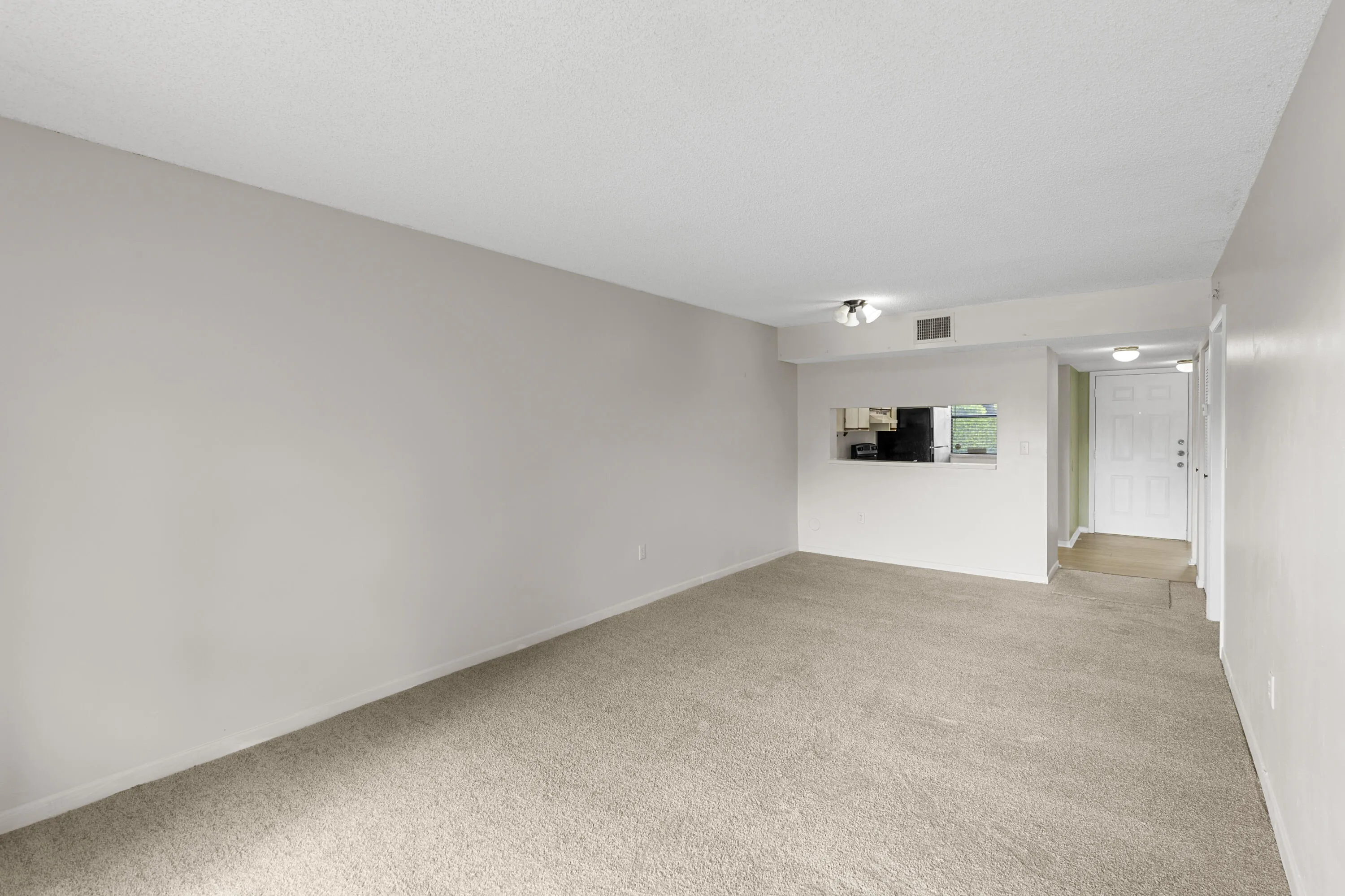 New carpet - passthrough to kitchen