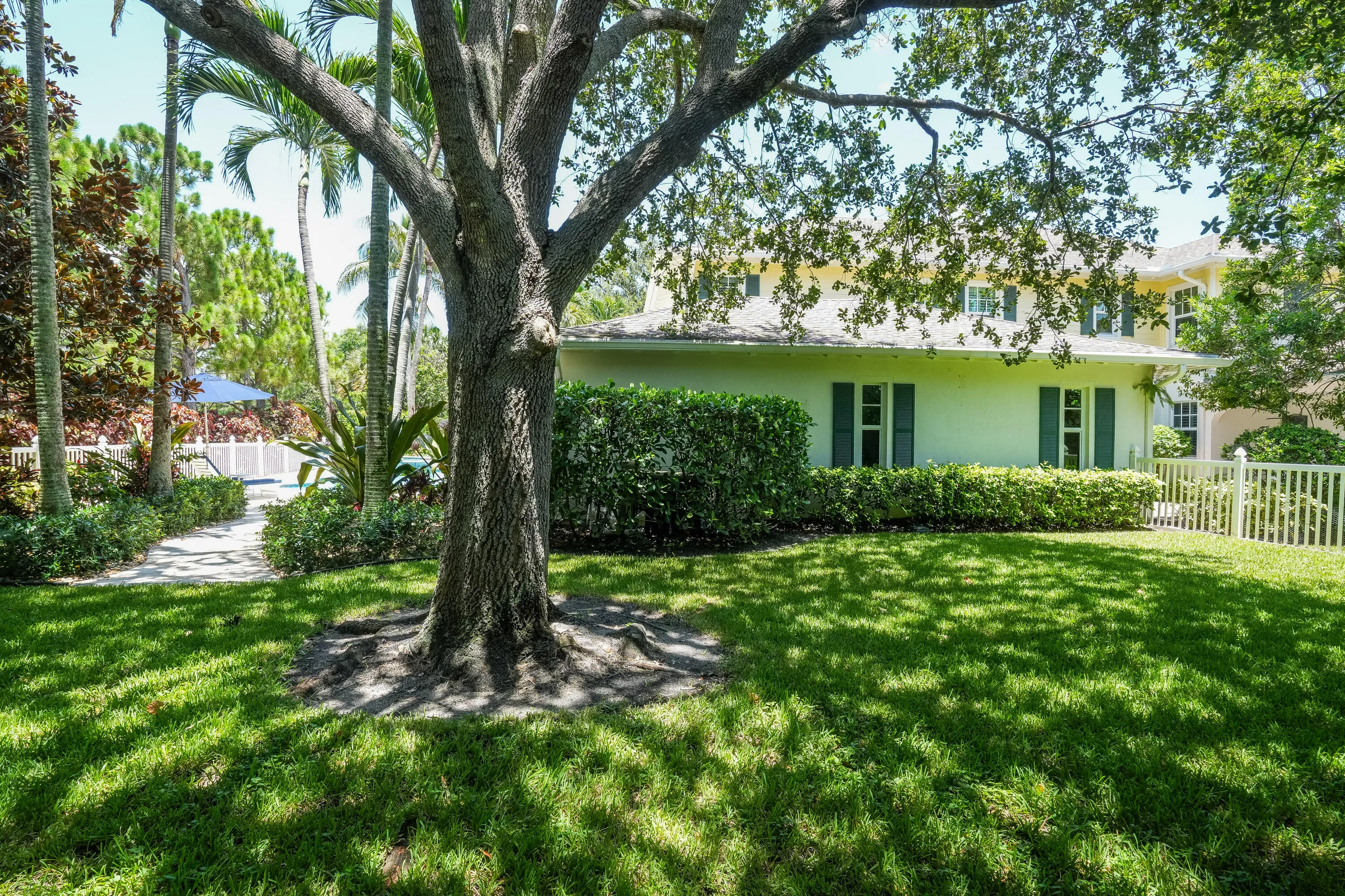 side yard