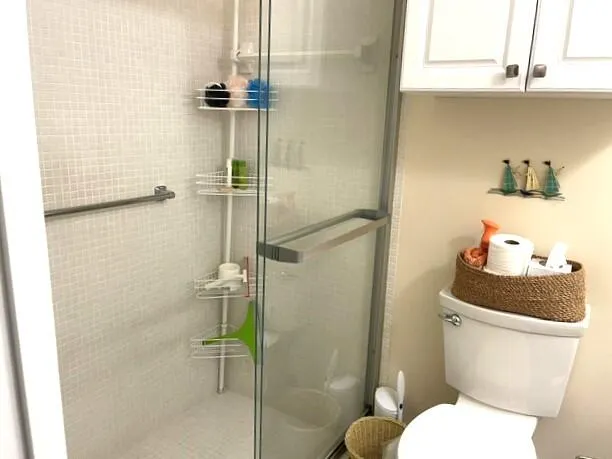 Guest bathroom shower stall