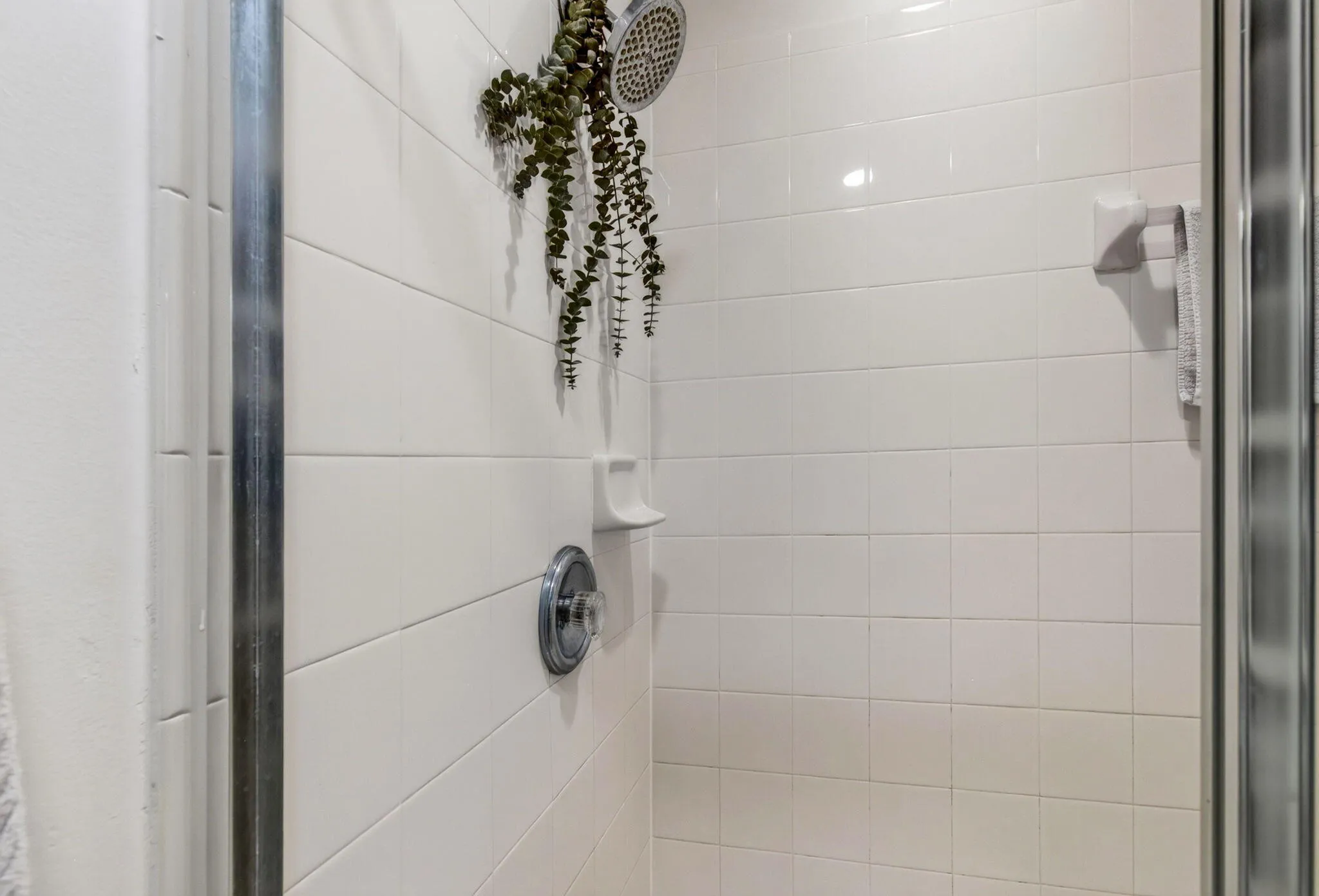White tiled shower with a chrome shower head and control knob
