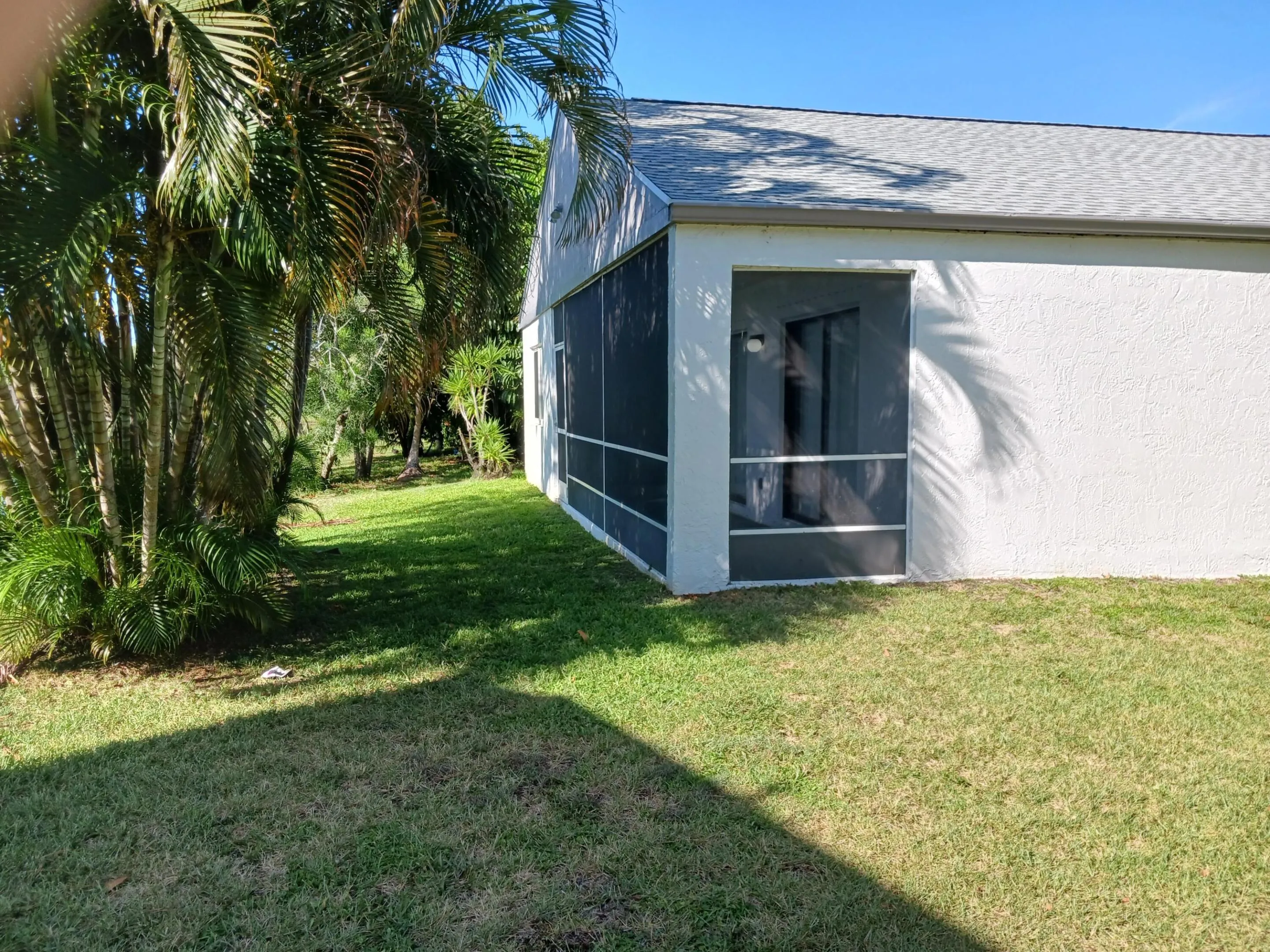 Back area of house