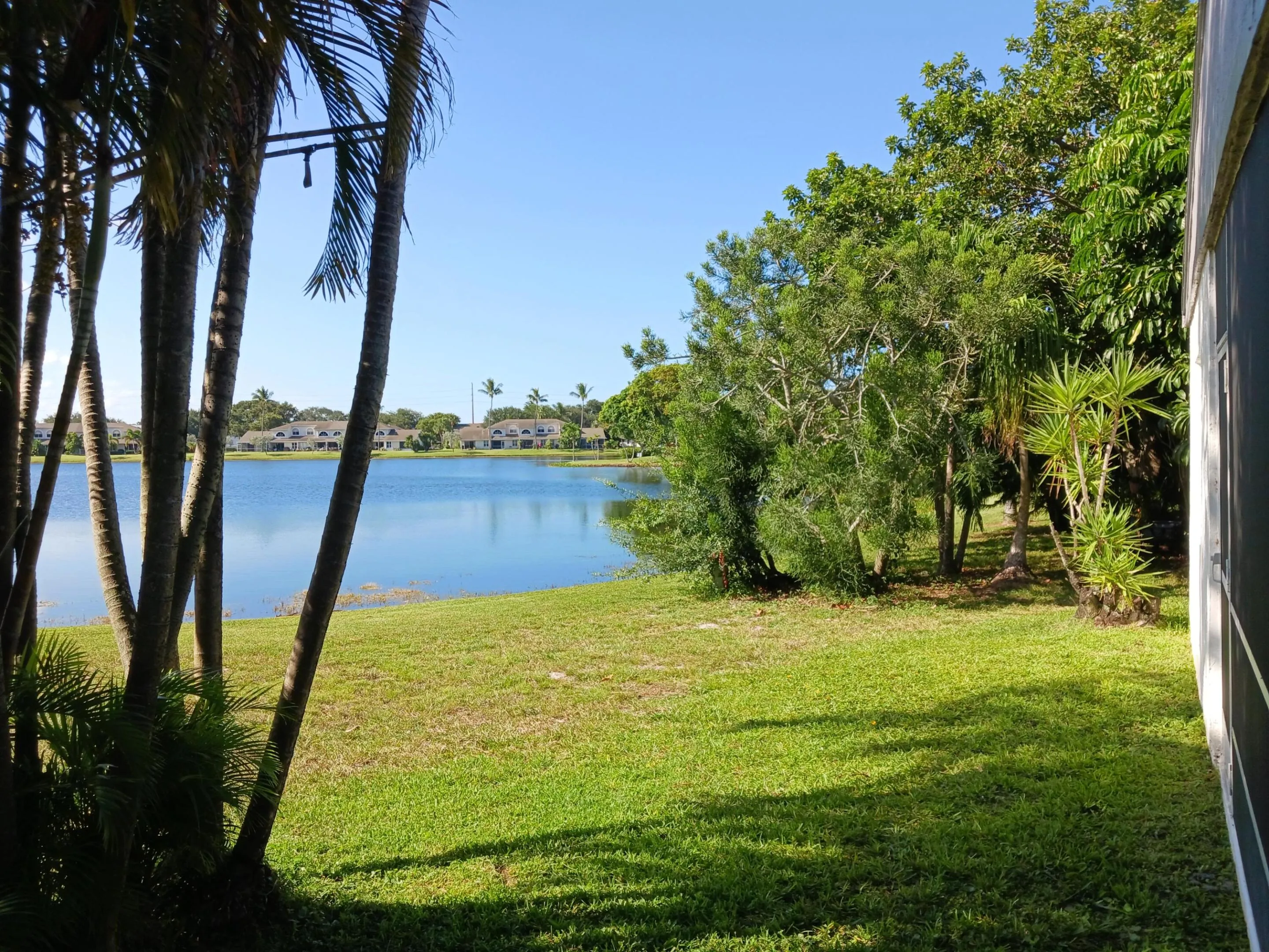 Lake view 3