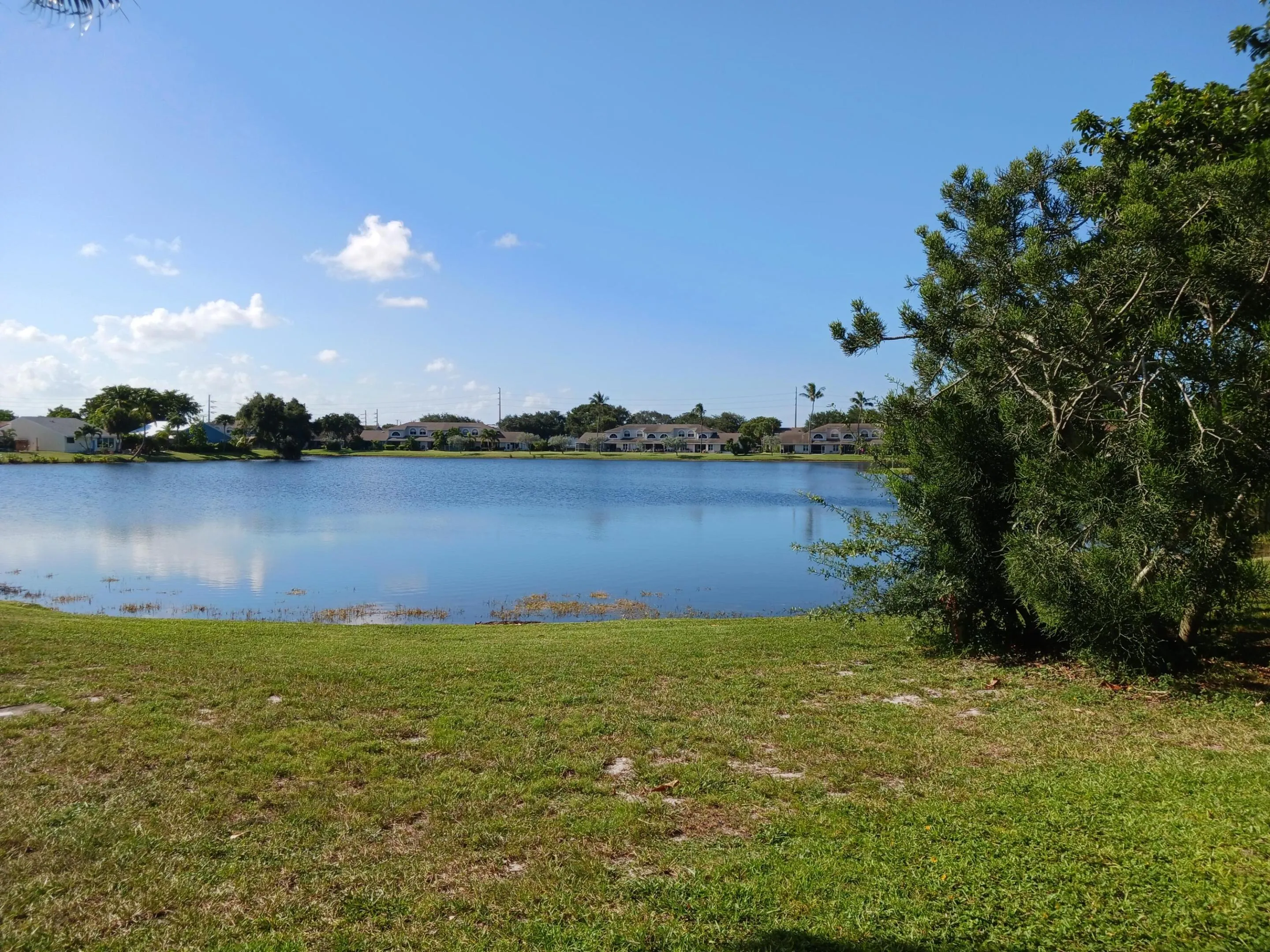 Lake view