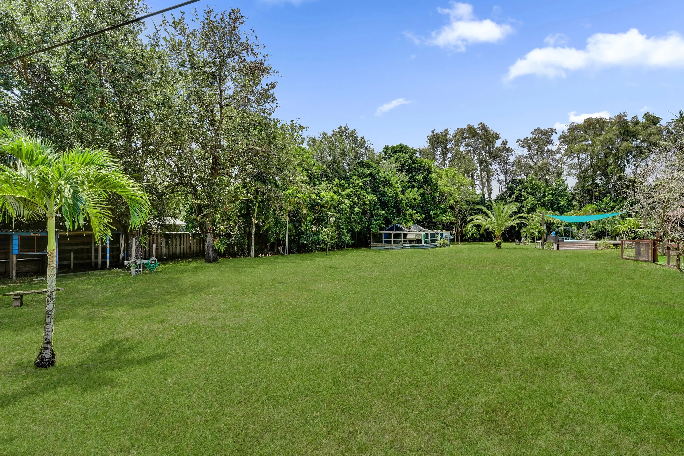 Fenced Backyard with lots of fruit trees: Lychee, Avocado, Mangos and more