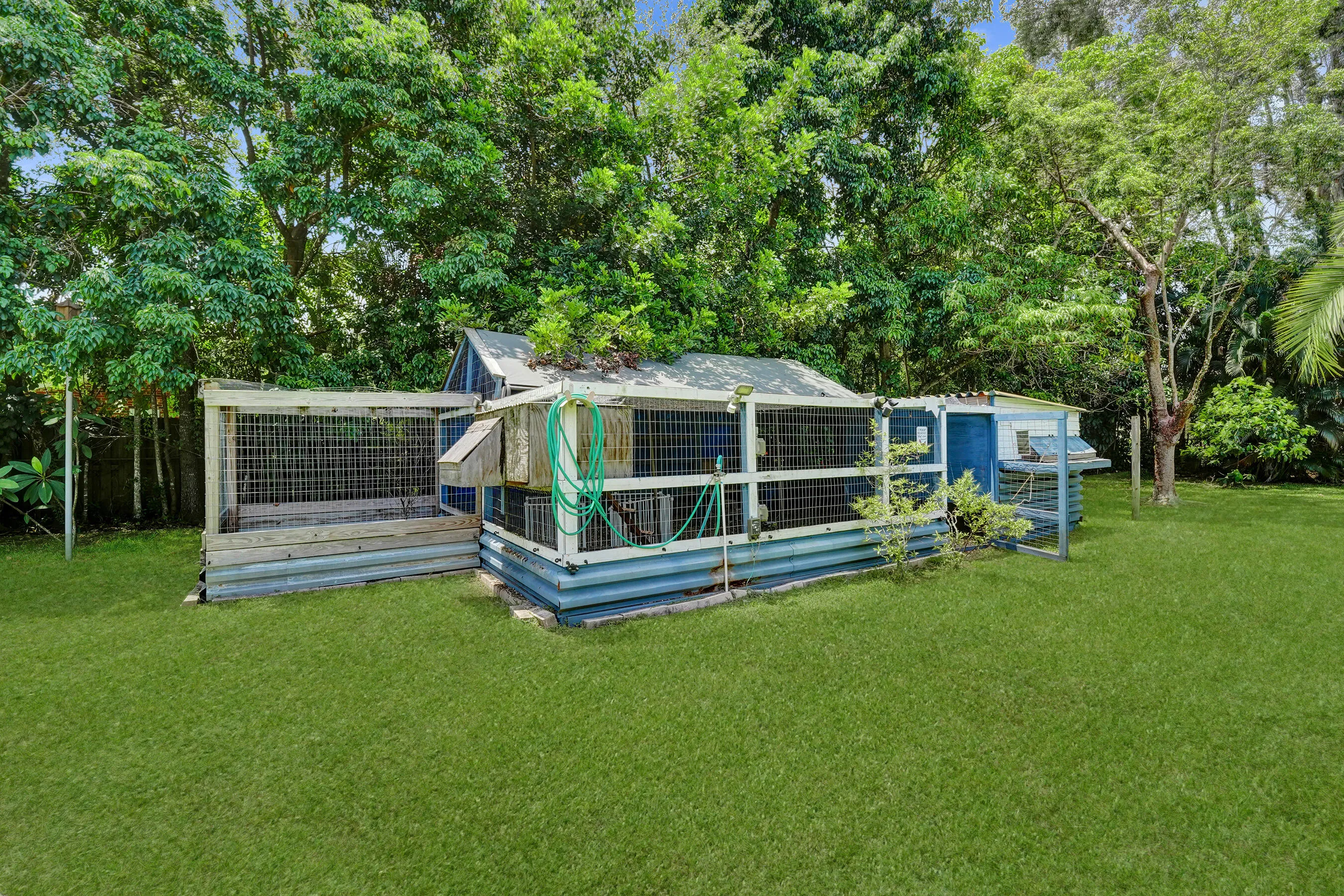#1 Large chicken coop in shady area or use for pets.
