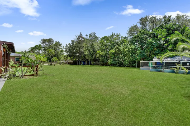 Side yard with tons of fruit trees: Lichee, Avocado, Mango etc...