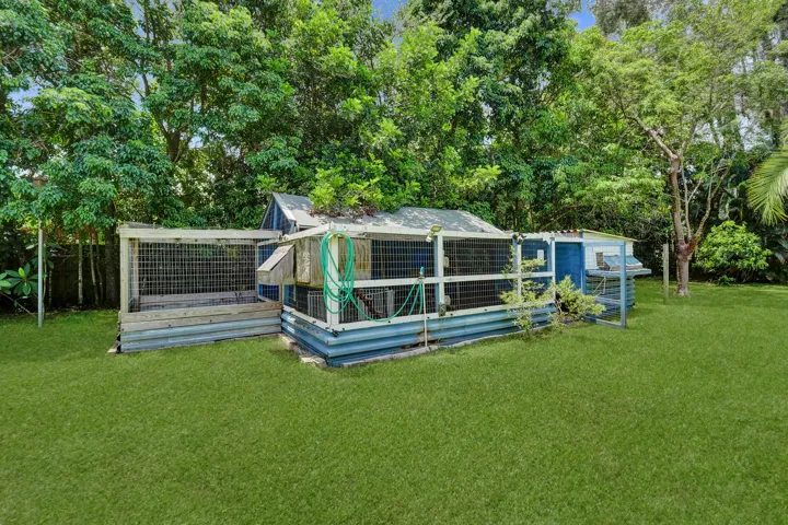 #1 Large chicken coop in shady area.