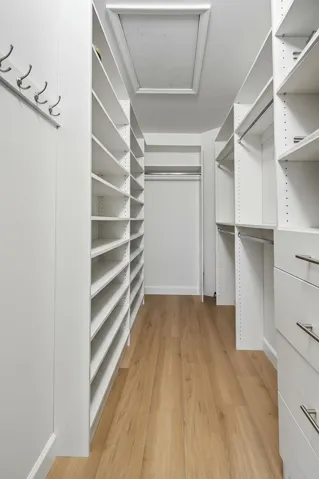 Primary Closet