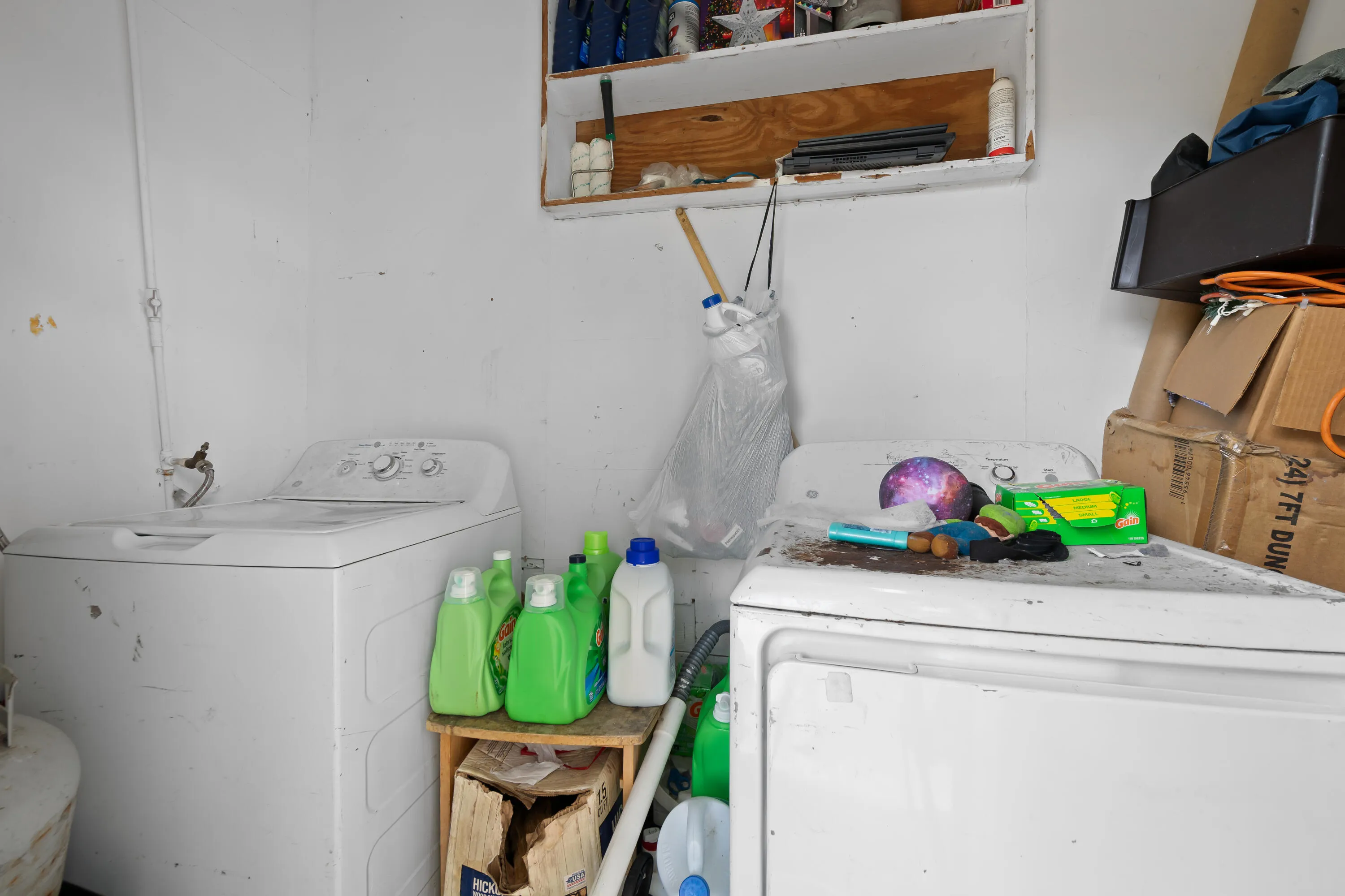 DSC_4641