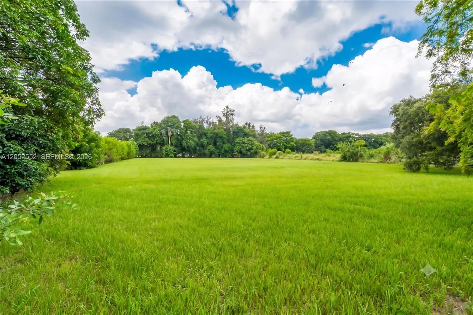 Property photo 63