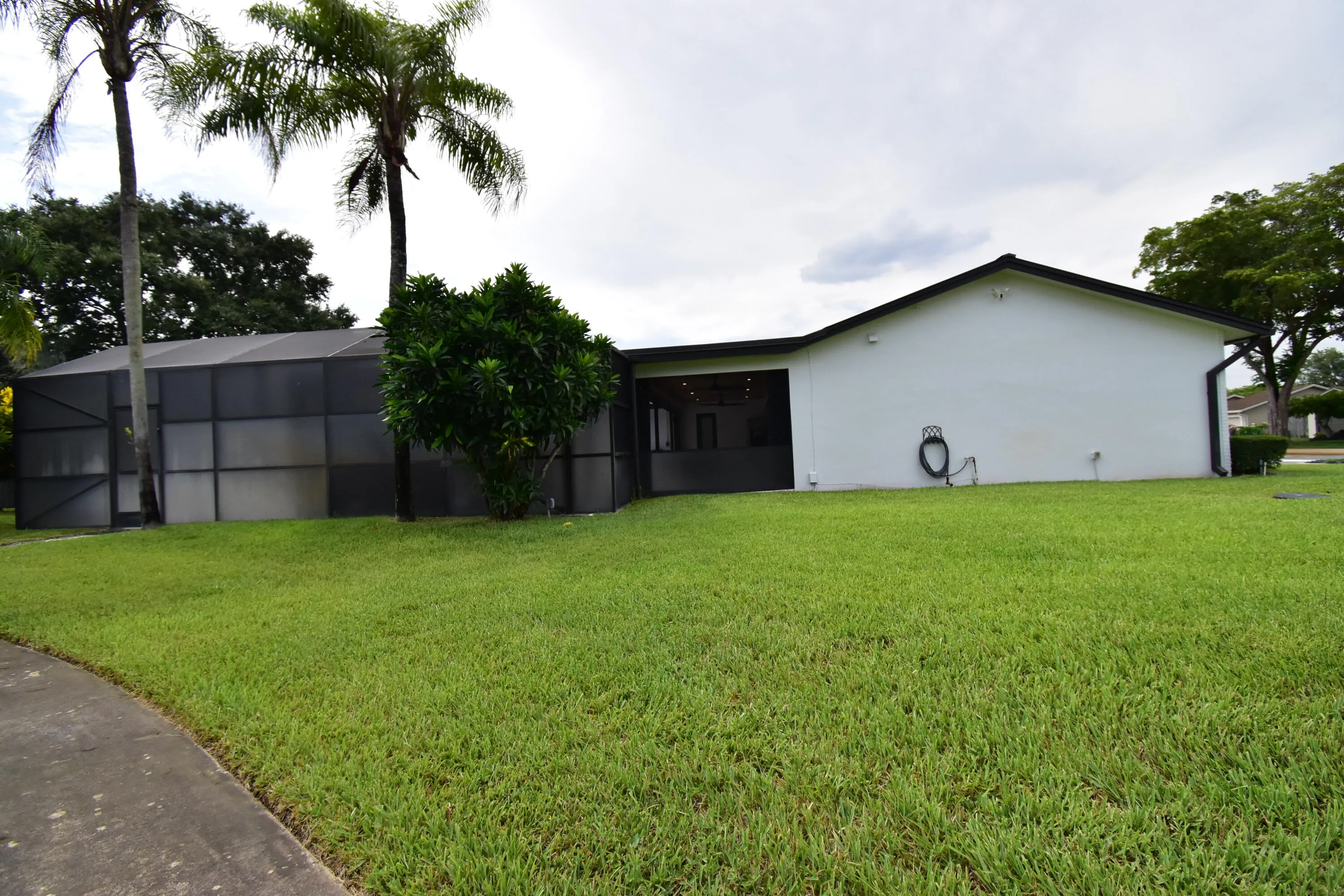 Expansive green lawn with a concrete pathway and mature palm trees
