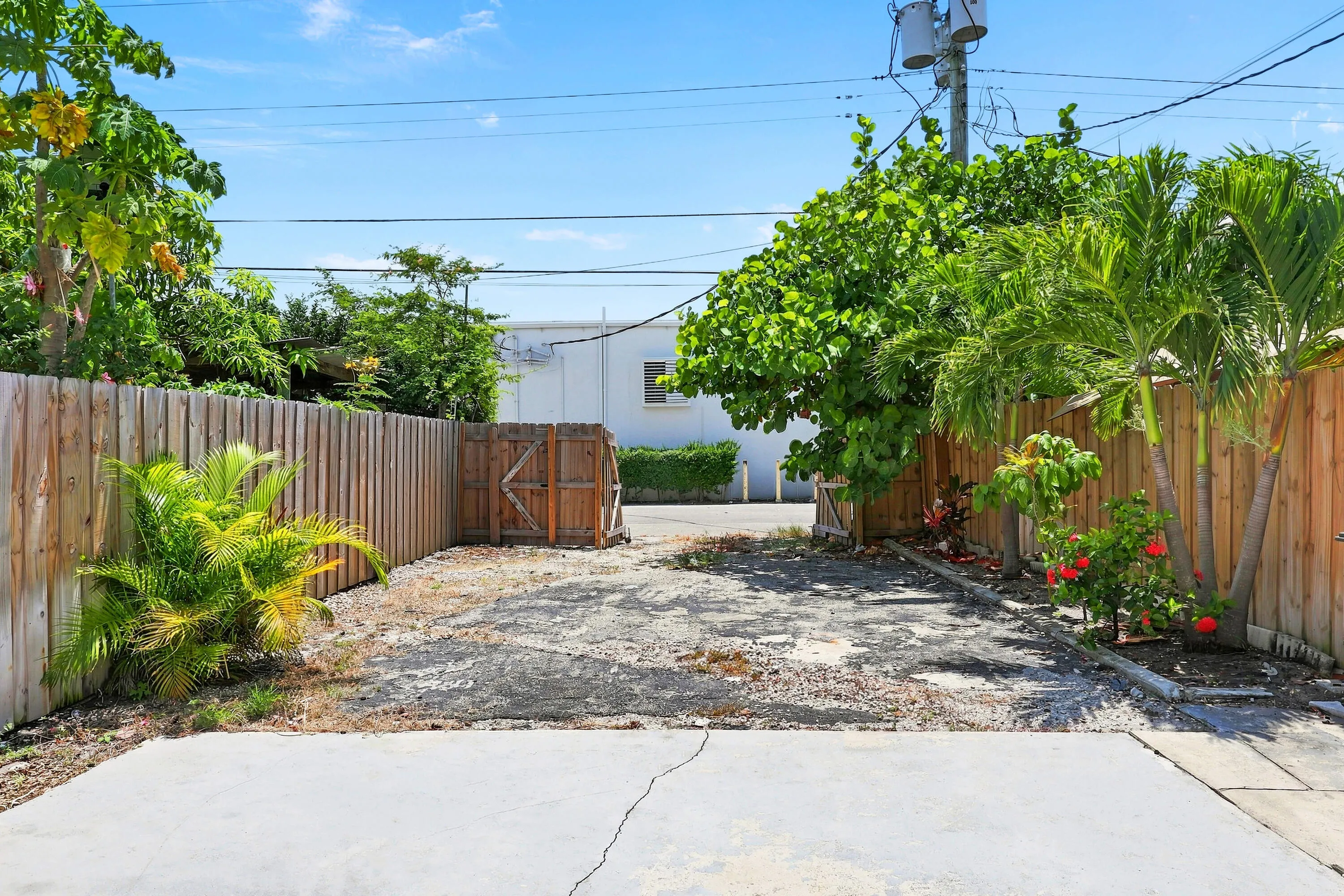 Paved concrete surface with a wood privacy fence and established tropical landscaping