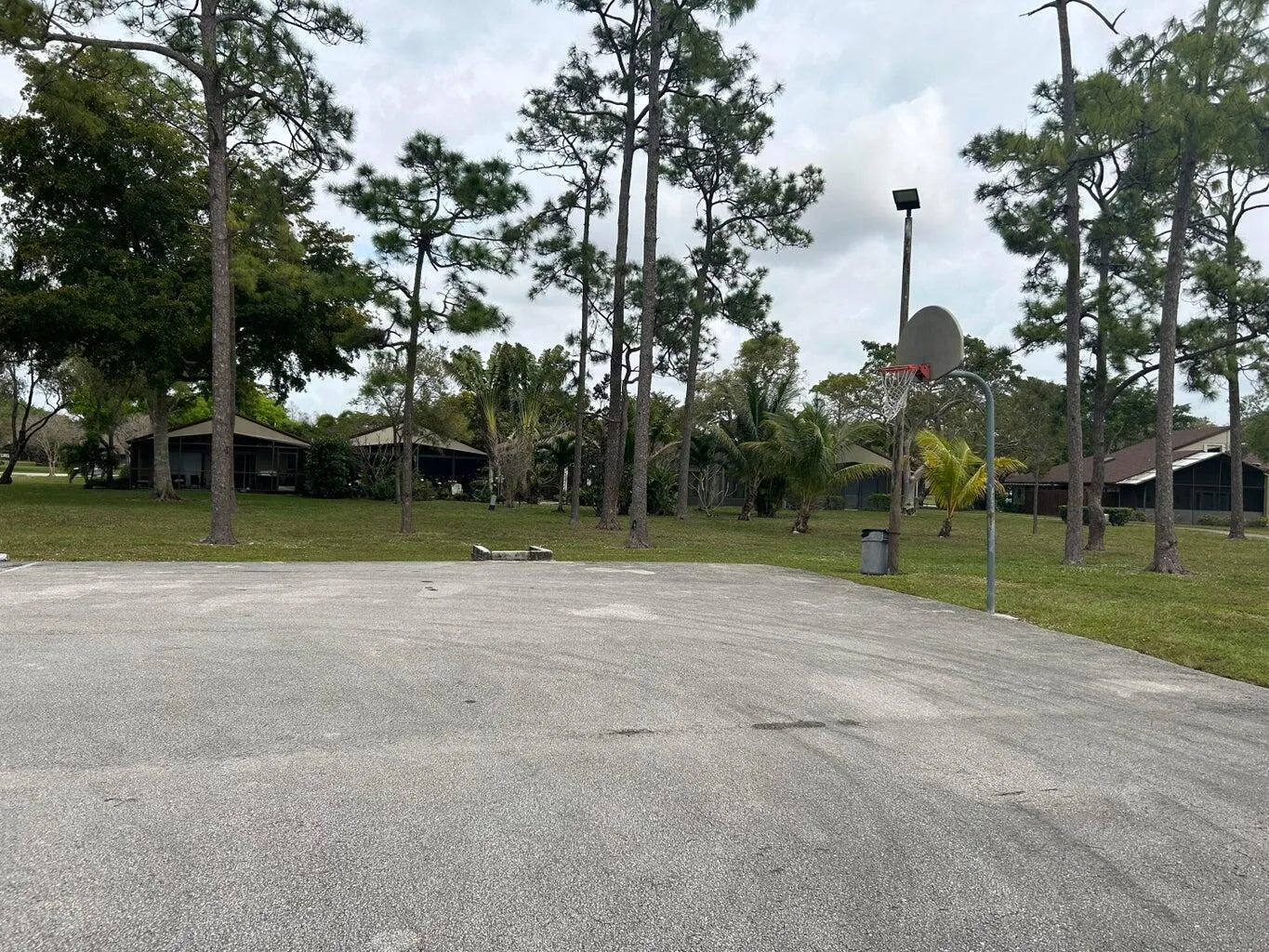 basketball timberwalk