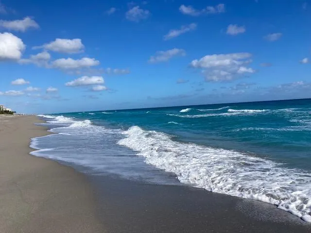 Juno & Jupiter Beach within 5 miles
