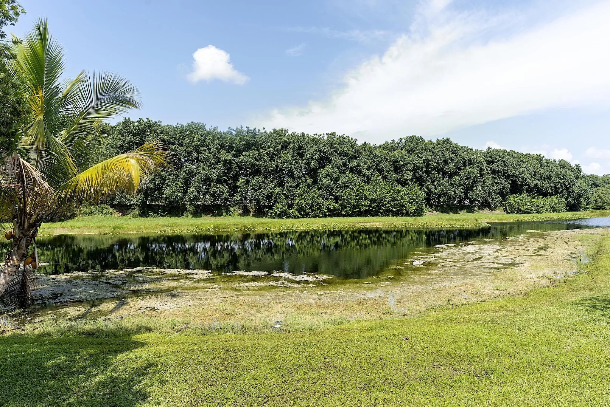 875 Bayside Lane weston FL- - 057