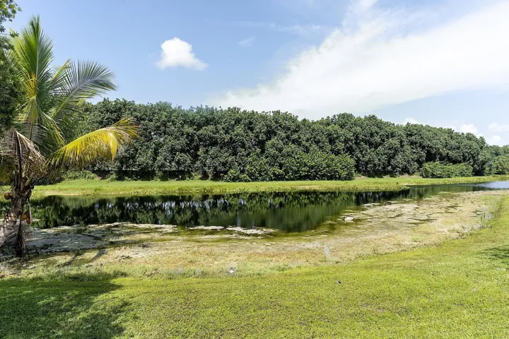 875 Bayside Lane weston FL- - 057