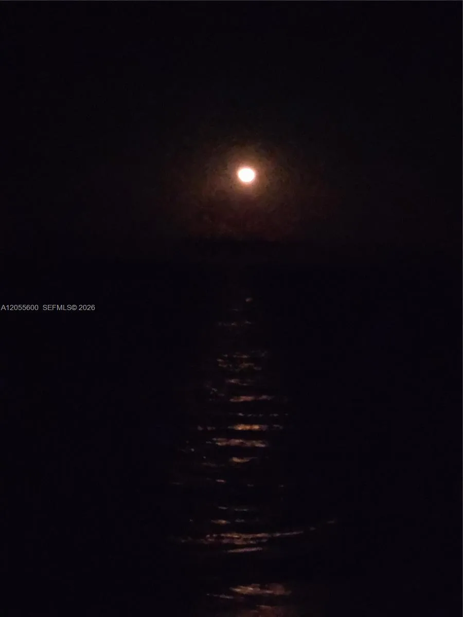 MOON RISING