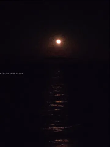 MOON RISING
